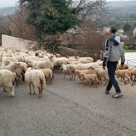 D'hôtes En Luberon *